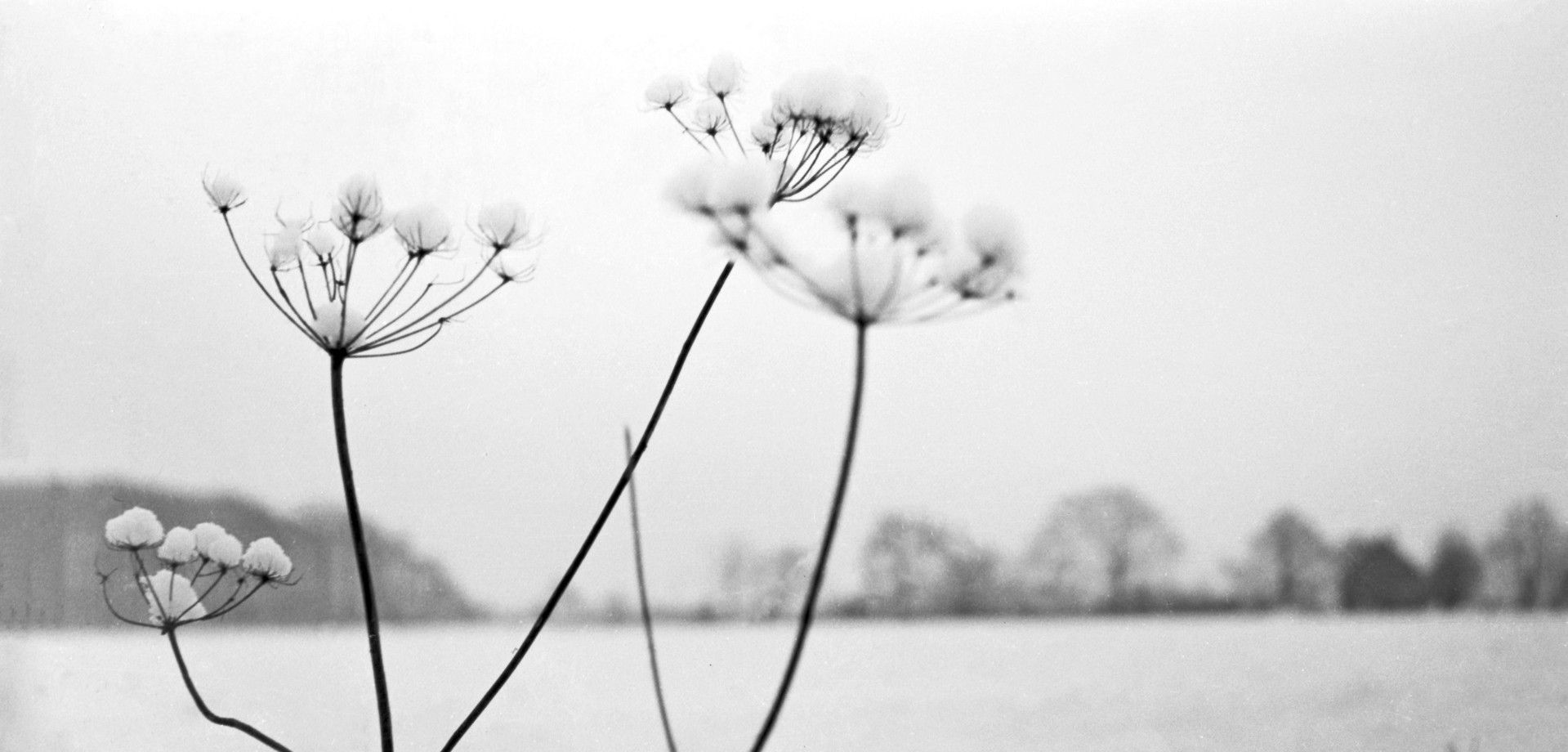Winterlandschaft bei Rinkerode, 1966, Copyright © LWL-Medienzentrum für Westfalen