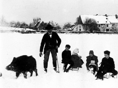 Eine Familie beim Schlittenfahren mit Wildschwein